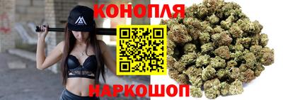jwh Брянск