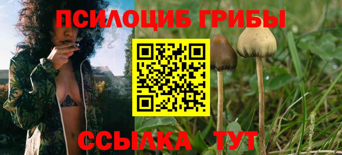 Галлюциногенные грибы Cubensis  Галлюциногенные грибы Magic Shrooms  Вход с VPN  Чистополь 