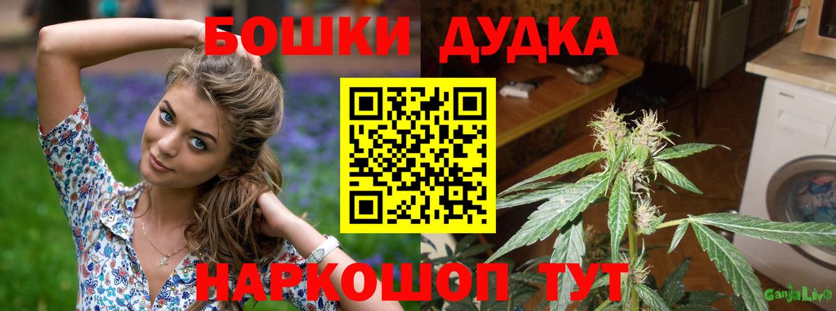 Конопля конопля Чистополь